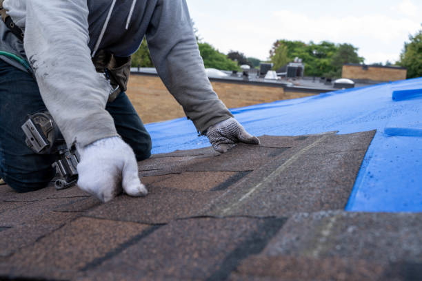 Best Storm Damage Roof Repair  in Pagedale, MO