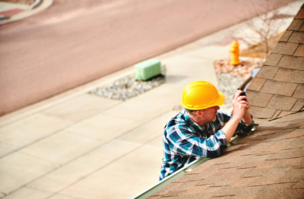 Best Roof Gutter Cleaning  in Pagedale, MO