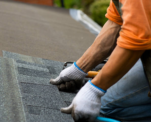Best Commercial Roof Installation  in Pagedale, MO