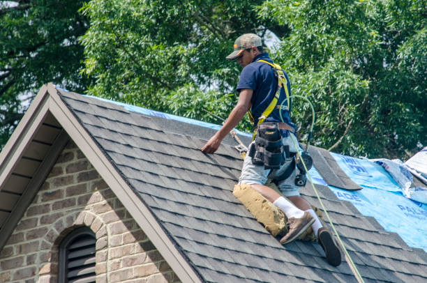Best Storm Damage Roof Repair  in Pagedale, MO